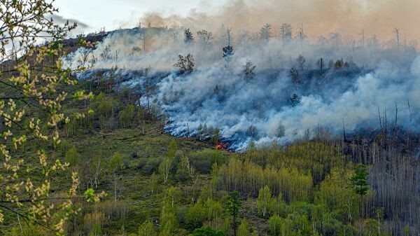 В Якутии тушат лесные пожары на площади свыше 600 гектаров