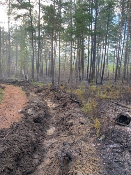 Ситуацию с лесными пожарами в селе Кустур стабилизировали