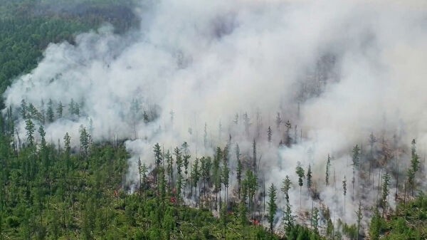 В Якутии действует 71 природный пожар
