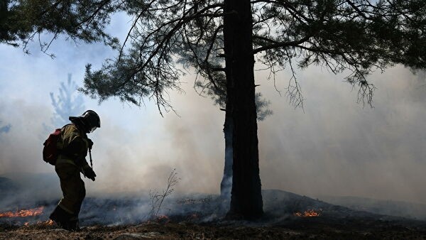 В Якутии лесные пожары приблизились к нефтебазе и селу