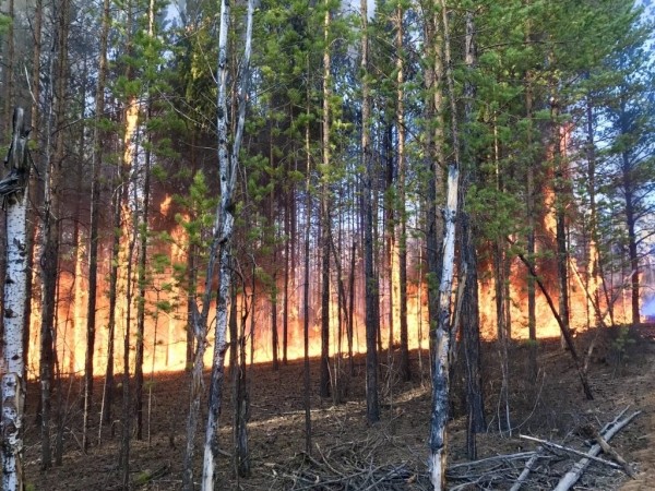 На крупный пожар в Усть-Алданском улусе мобилизовано население