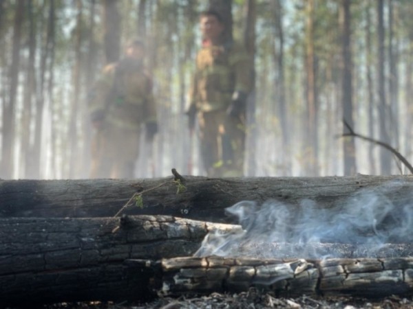 Для 28 населённых пунктов в Якутии существует угроза задымления из-за лесных пожаров