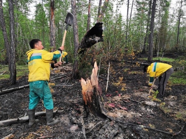 Минэкологии Якутии: идет ликвидация лесных пожаров