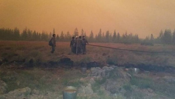 Видеофакт: лесной пожар в Сватае усилился и напугал местных жителей