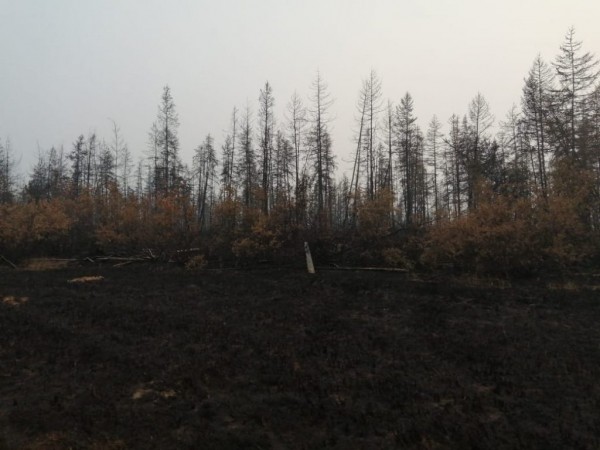 Фотофакт: После пожара у села Сватай
