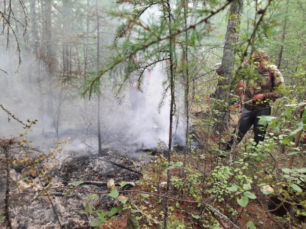 Лесной пожар в Таттинском улусе потушен