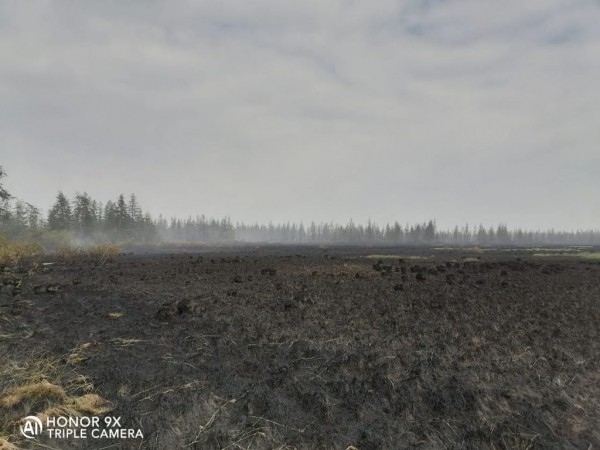 Фотофакт: После пожара у села Сватай