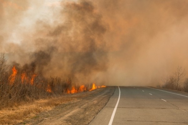 В Якутии из 16 лесных пожаров локализовали шесть