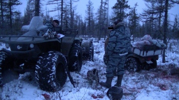В Якутии нелегальные охотники хорошо вооружены — Минэкологии