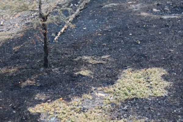 В Якутии будут судить виновника крупного пожара