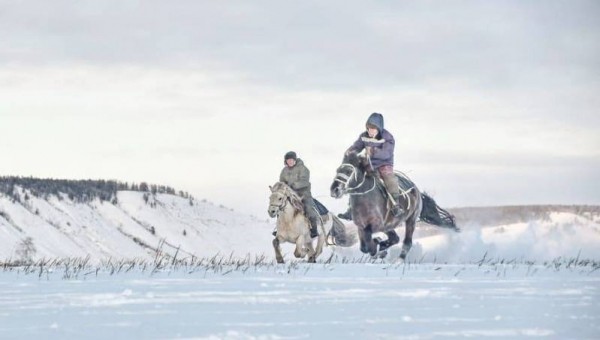 Якутские лошади глазами фотографа-любителя Галины Давыдовой 