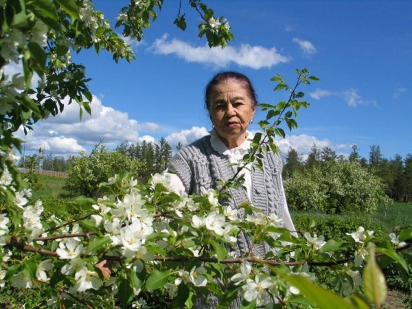 Яблоневый сад Марии Чертковой