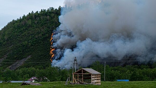 Площади лесных пожаров в России выросли в пять раз за неделю
