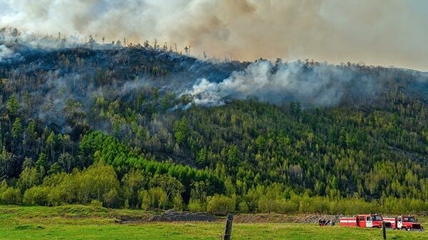 Власти Якутии и Рослесхоз уменьшат зоны контроля лесных пожаров