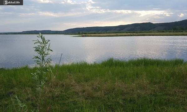 Холерные вибрионы обнаружили в реке Амге в Якутии