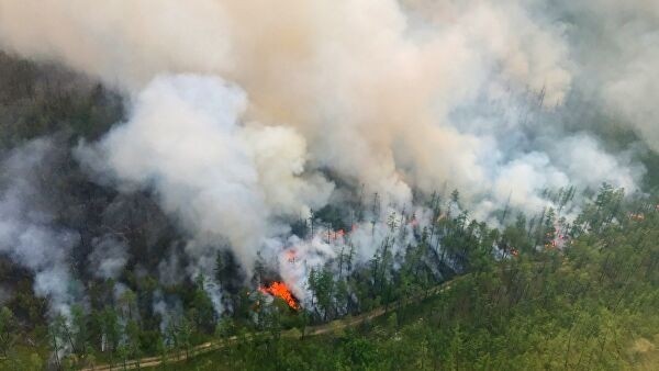 В Якутии сгорело более 250 тысяч гектаров леса