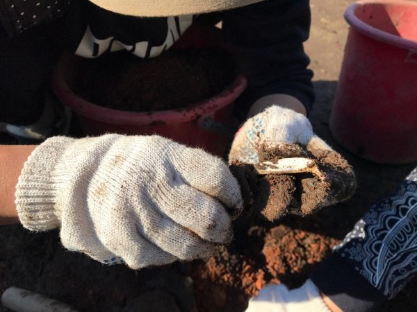 На раскопках в центре Якутска обнаруживаются интересные артефакты