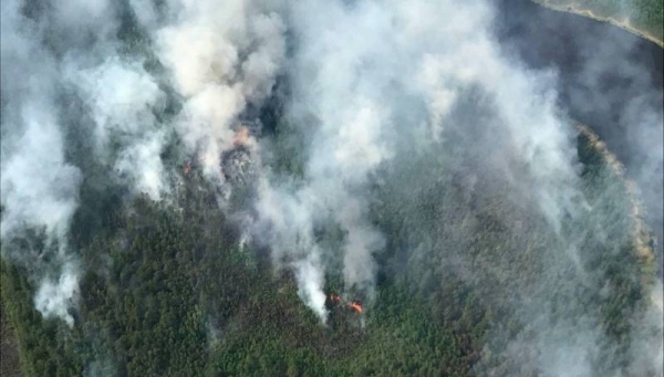В Якутии тушат лесные пожары в опасной близости от трех сел Среднеколымского улуса