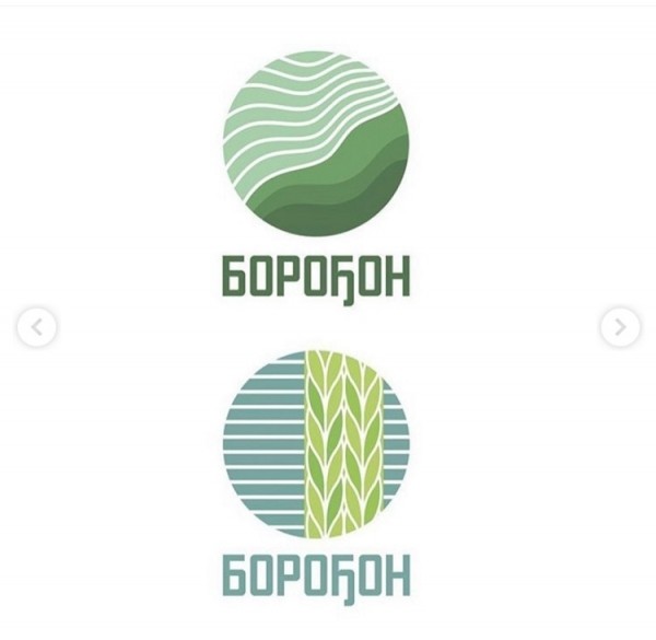 Студенты кафедры дизайна разрабатывают логотип с.Борогонцы