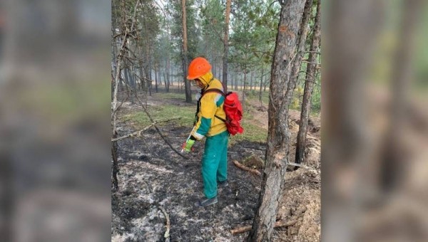 В Якутии тушат 15 лесных пожаров