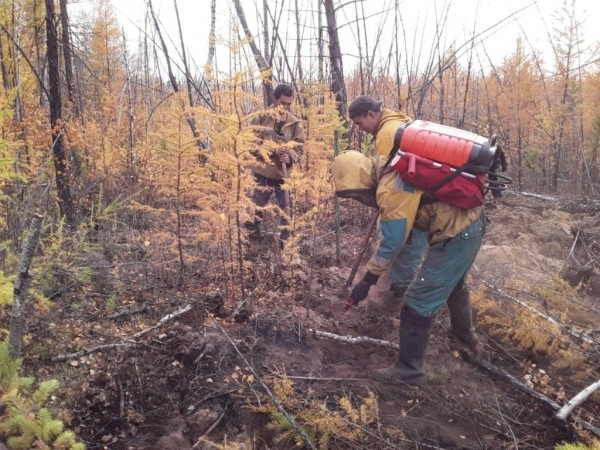В Якутии стало меньше лесных пожаров