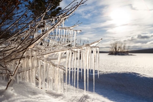   В Гидрометцентре пообещали аномальное тепло в Якутии 