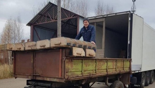 На Покровскую звероферму привезли 325 соболей из Татарстана